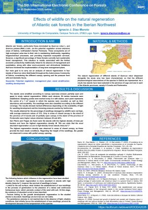 5th IECF_Diaz-Maroto_Poster_3.pdf